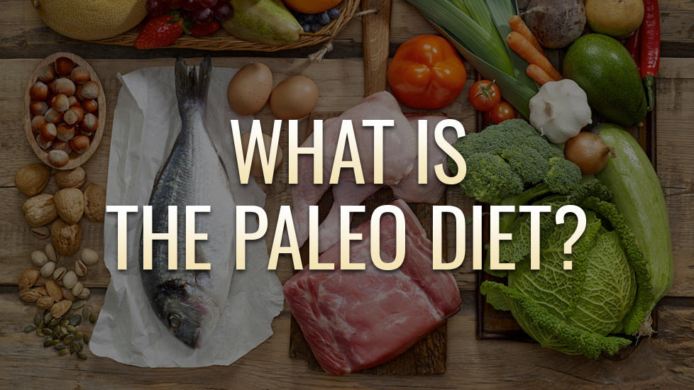 Definition Of Paleo Diet
 What is the Paleo Diet The Definitive Plan for All You
