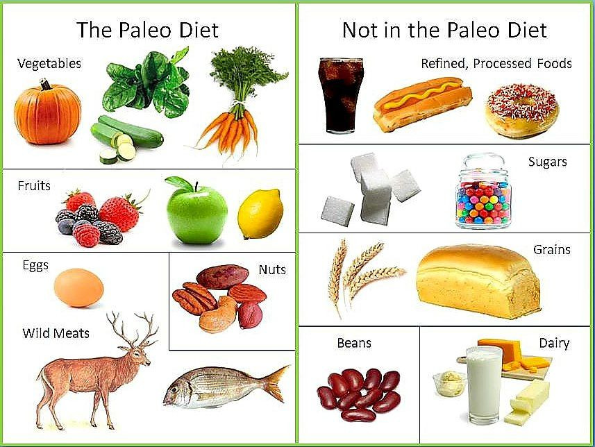 Definition Of Paleo Diet
 Simple definition of Paleo clean eating