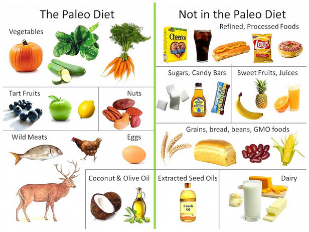 Definition Of Paleo Diet
 Define Paleo for Celiac Disease