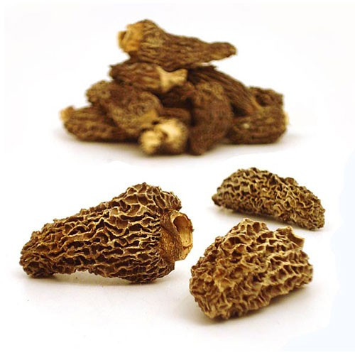 Dehydrating Morel Mushrooms
 ShopMyNorth Holiday Gifts for Cooks and Foo s MyNorth