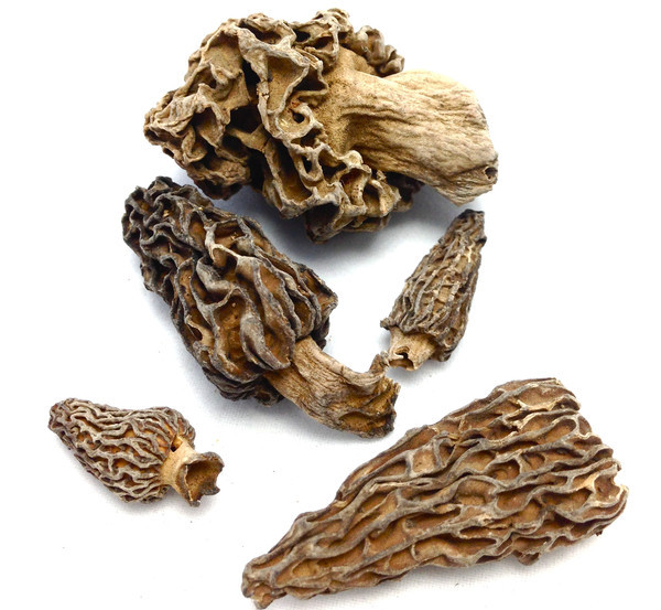 Dehydrating Morel Mushrooms
 Dried Morel Mushrooms by The Truffle Market Smoky Nutty