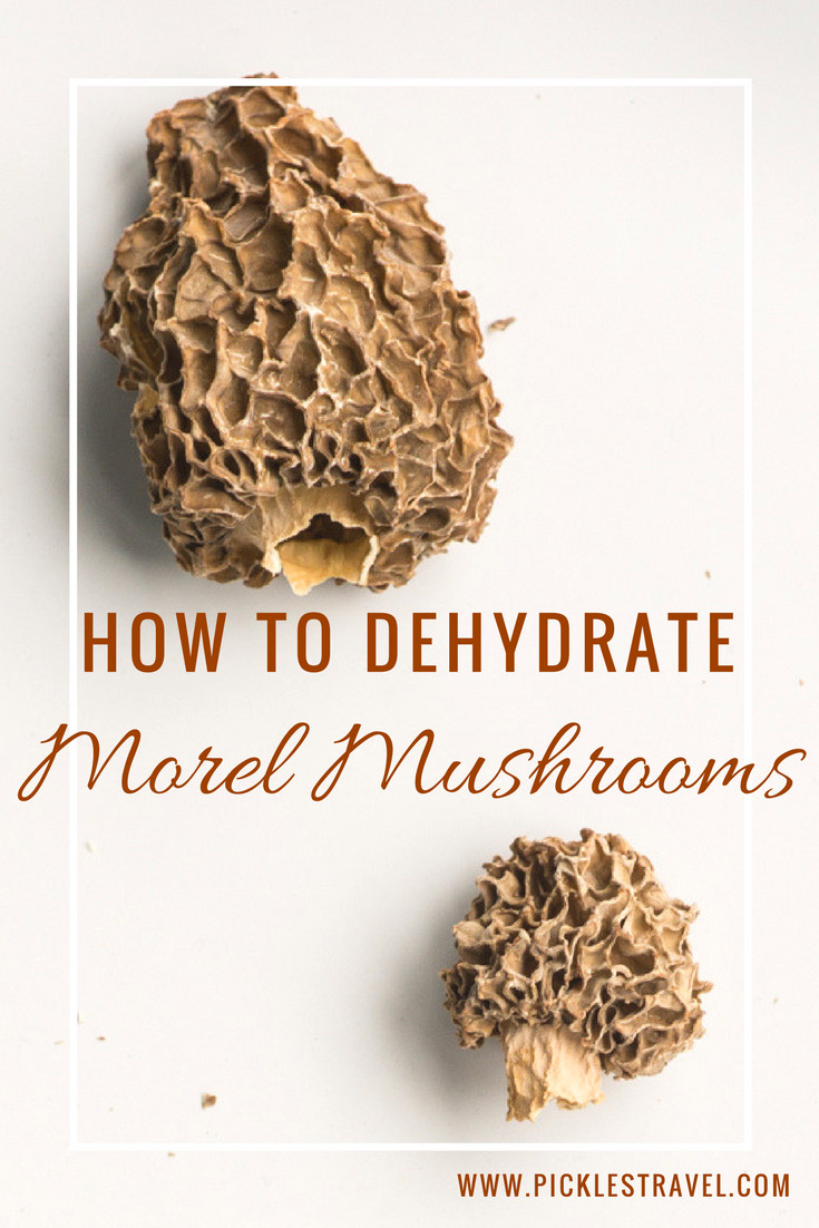 Dehydrating Morel Mushrooms
 How to make Dehydrated Morel Mushrooms