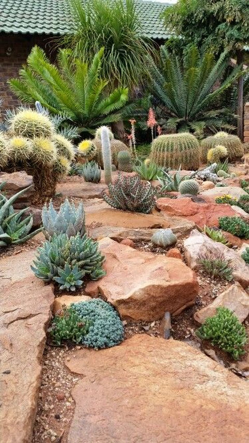 Desert Landscape Backyard
 Stunning desert garden ideas for home yard 56 Rockindeco