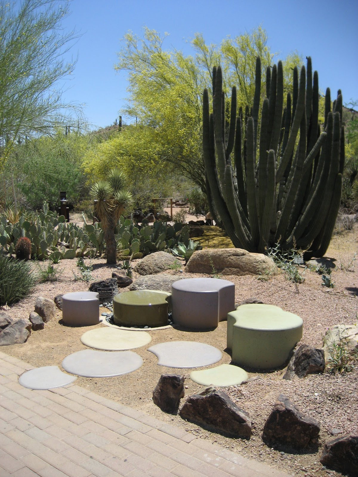 Desert Landscape Backyard
 Awesome Desert Landscaping Ideas with Lovely Desert Plants