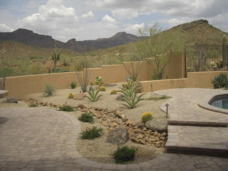 Desert Landscape Backyard
 Desert Landscaping How To Create Fantastic Desert Garden