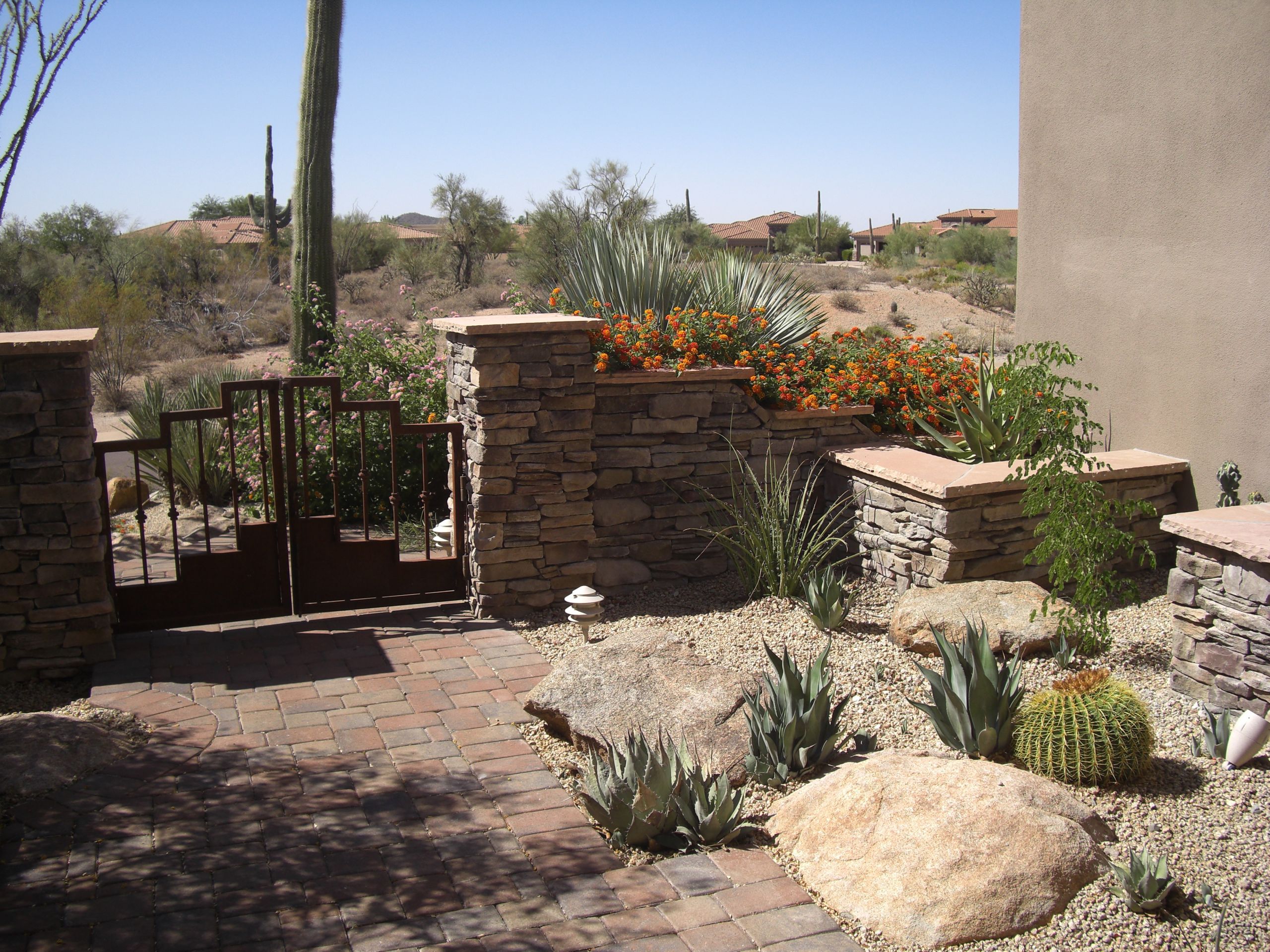Desert Landscape Backyard
 Saving Money on your Desert Landscaping Arizona Landscape