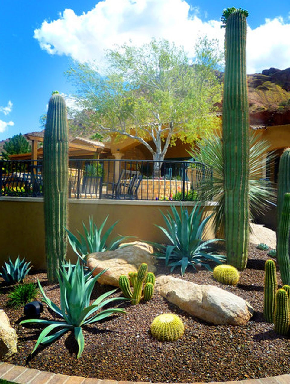 Desert Landscape Backyard
 Stunning desert garden ideas for home yard 45 AmzHouse