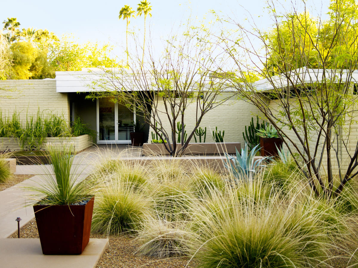 Desert Landscape Design
 4 Essential Desert Landscaping Ideas Sunset Magazine