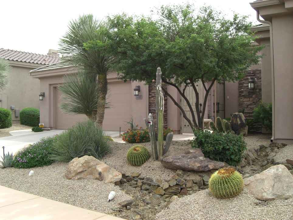 Desert Landscape Design
 xeriscape design