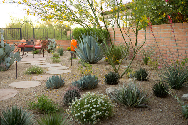 Desert Landscape Design
 DESERT GEM Mediterranean Landscape Phoenix by