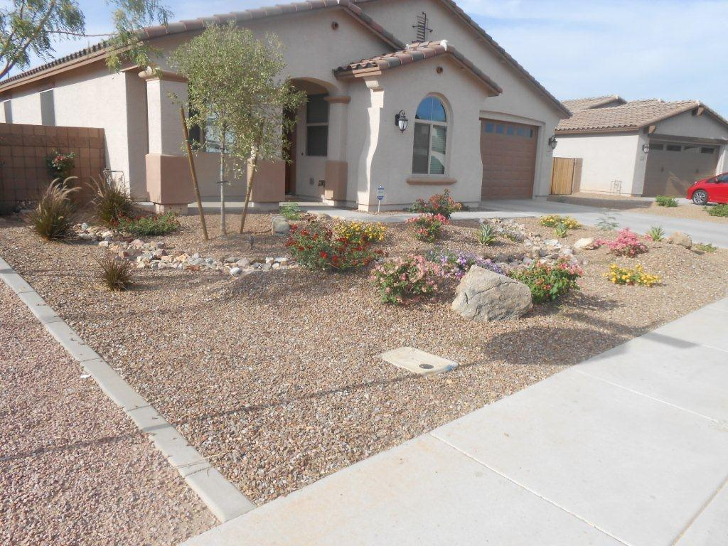 Desert Landscape Front Yard
 Arizona Landscape Design Poco Verde Landscape