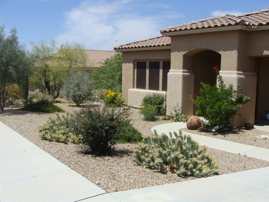 Desert Landscape Front Yard
 Colorful Desert Courtyard Landscaping Network