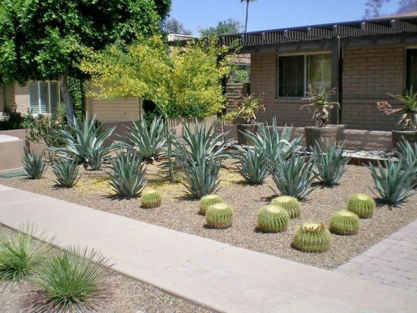 Desert Landscape Front Yard
 Desert landscaping ideas – basic rules to design a great