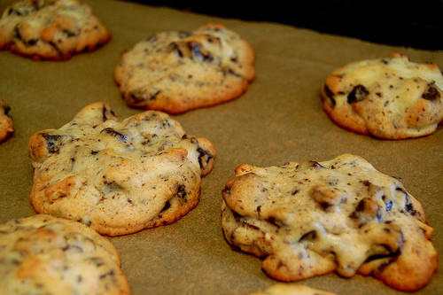 Desserts For Diabetics Type 1
 Chocolate Chip Cookies for Diabetics