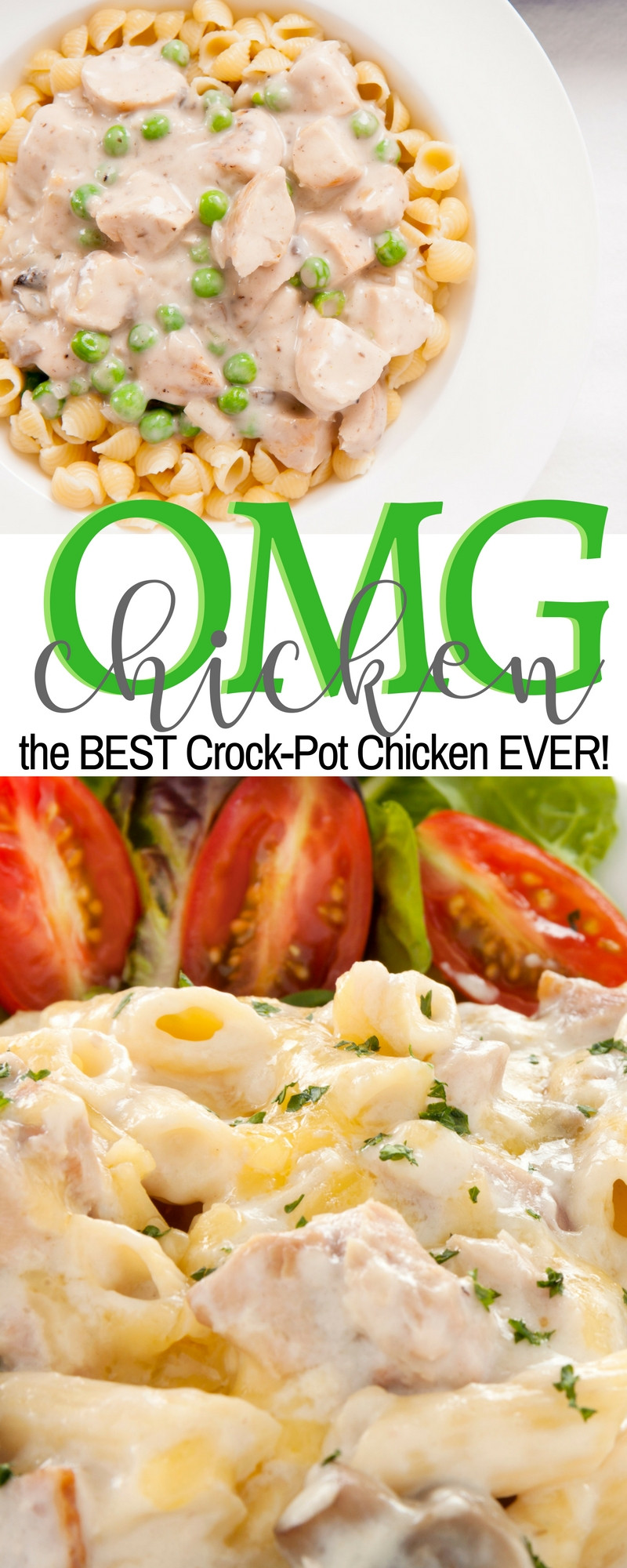 Diabetic Crockpot Chicken Recipes
 The Best Crock Pot Chicken Recipe OMG Slow Cooker