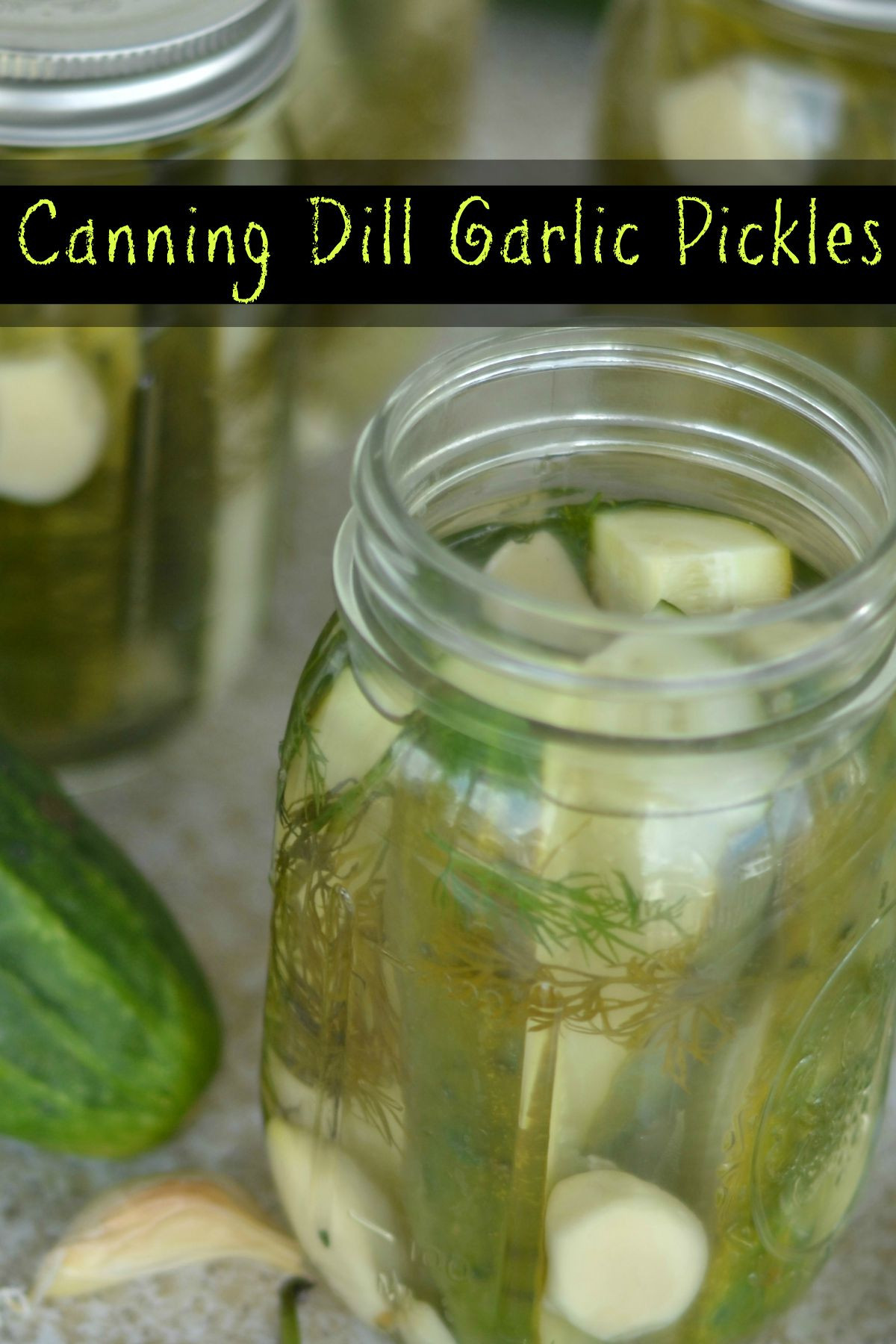 Dill Pickles Recipe For Canning
 Garlic Dill Pickles Canning Recipe – Sisters Shopping Farm