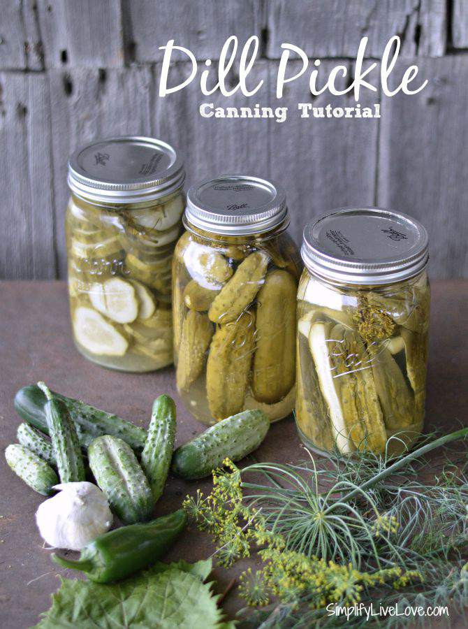 Dill Pickles Recipe For Canning
 Grandma s Secret Dill Pickles Recipe & Canning Tutorial
