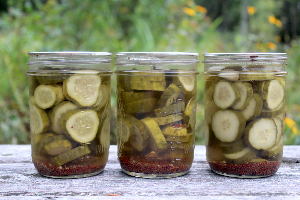 Dill Pickles Recipe For Canning
 Dill Pickle Recipe for Canning