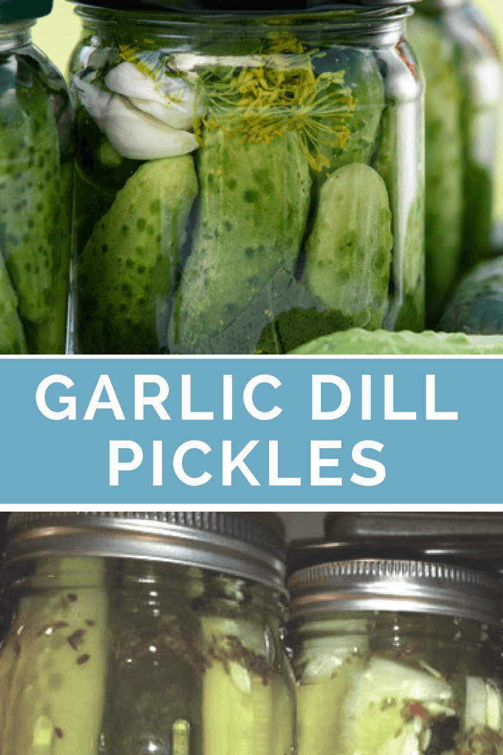 Dill Pickles Recipe For Canning
 Garlic Dill Pickles Recipe
