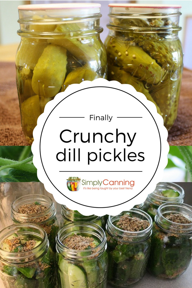 Dill Pickles Recipe For Canning
 Dill Pickle Recipe Finally I m Getting the Crunch