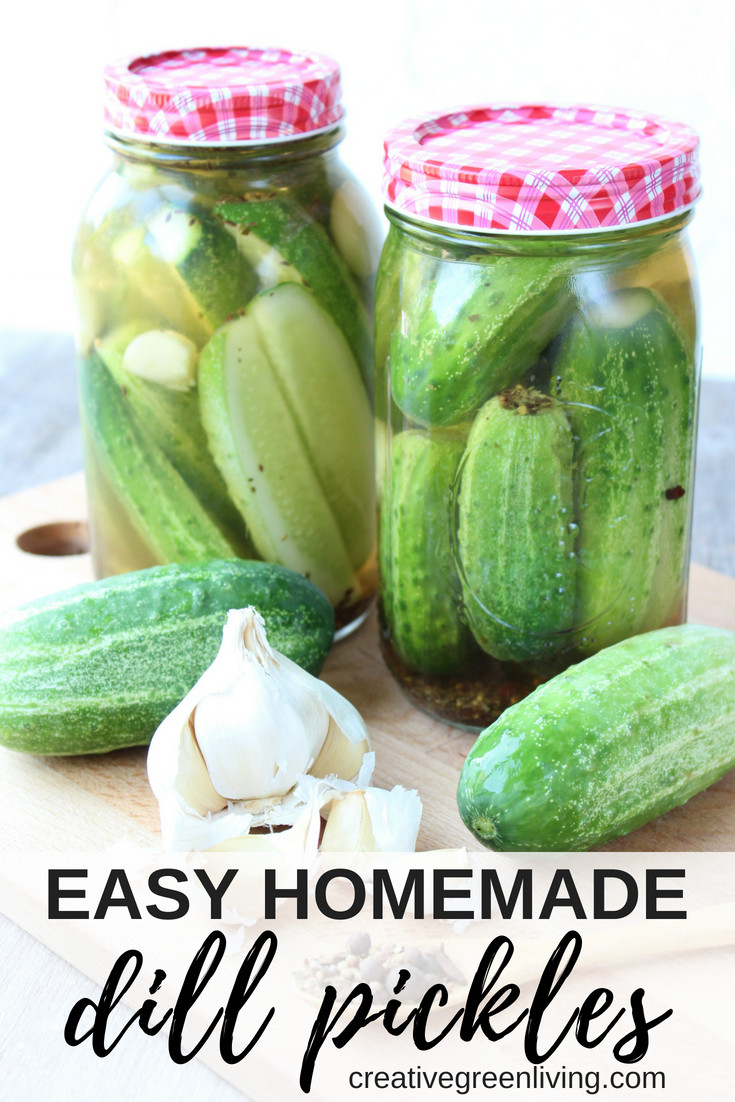 Dill Pickles Recipe For Canning
 Easy Dill Pickle Recipe from Fresh Cucumbers Creative