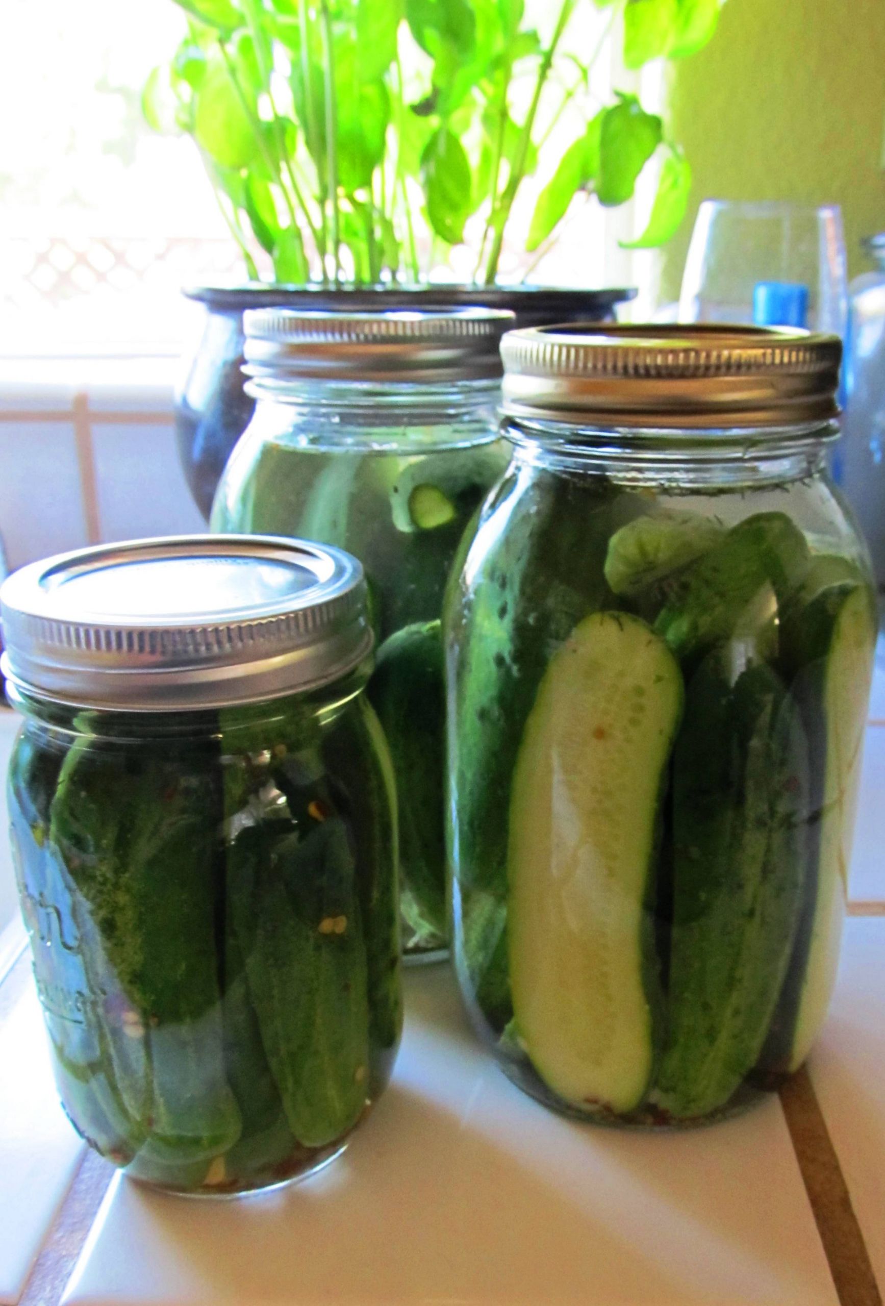 Dill Pickles Recipe For Canning
 Got Pickles Spicy Garlic Dill Pickles Refrigerator or