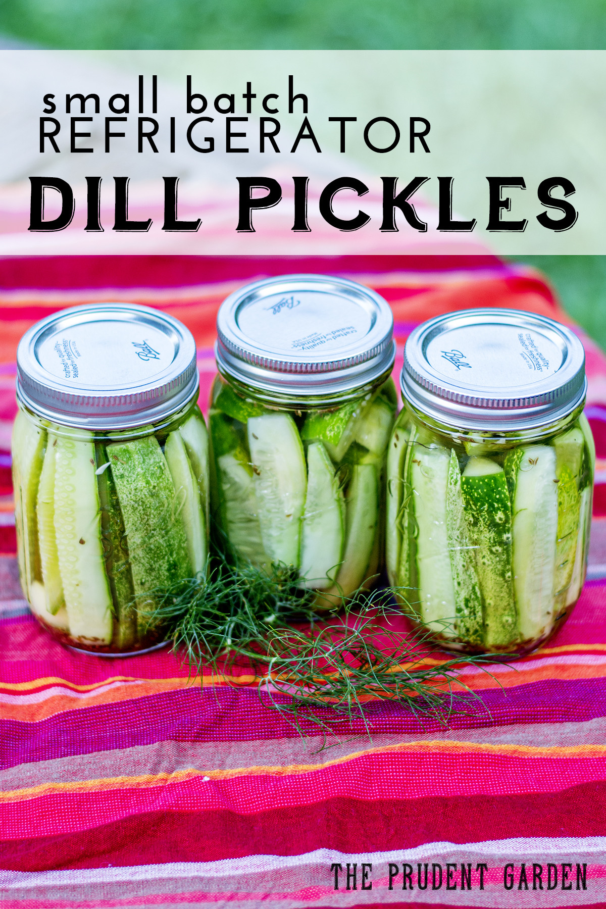 Dill Pickles Recipe For Canning
 Small Batch Refrigerator Dill Pickles