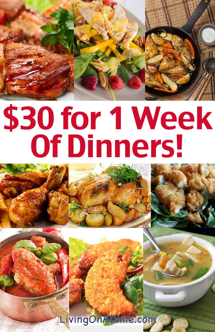 Dinner Ideas For One
 Cheap Family Dinner Ideas $30 for 1 Week of Dinners