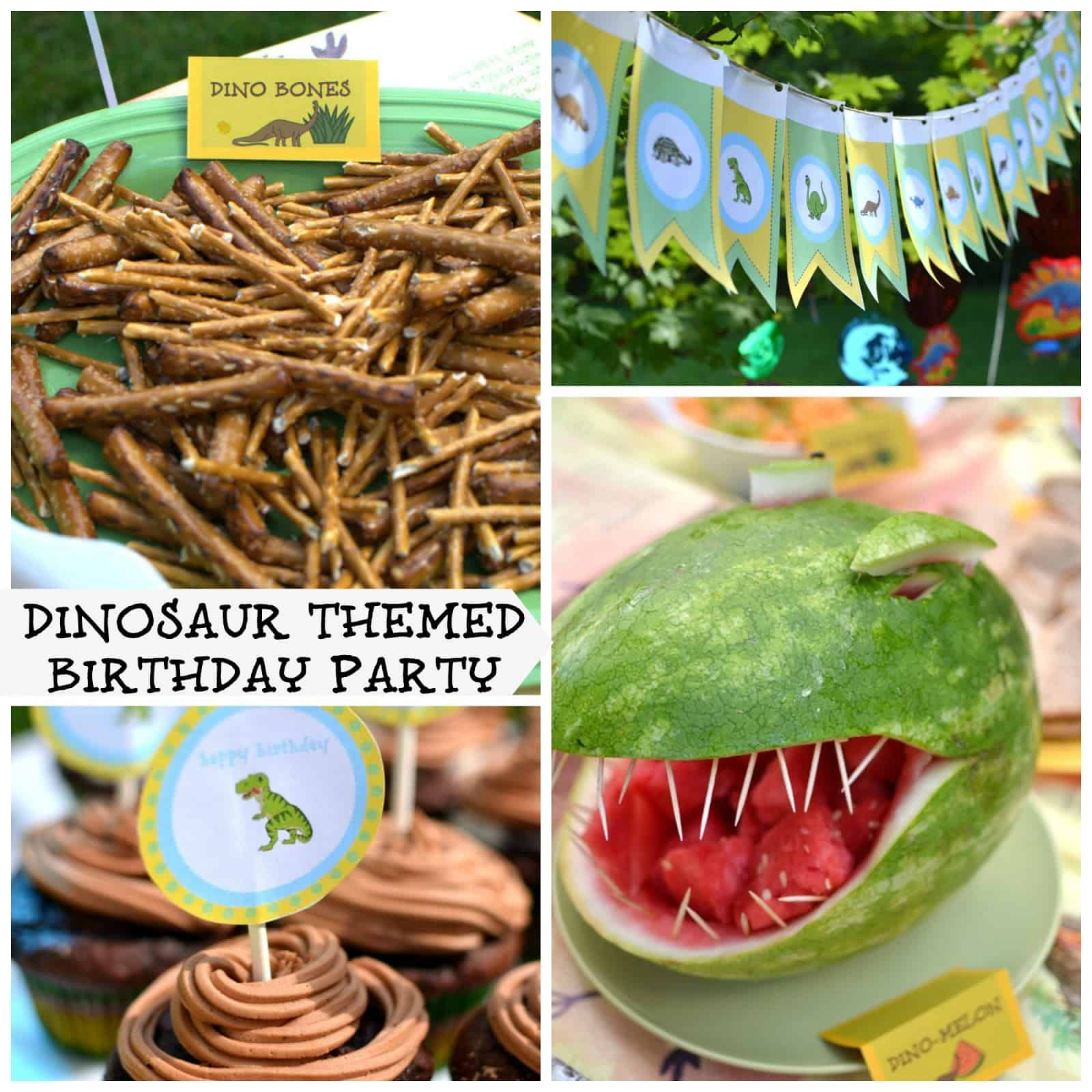 Dinosaur Themed Birthday Party
 Party with dinosaurs Dinosaur themed birthday party