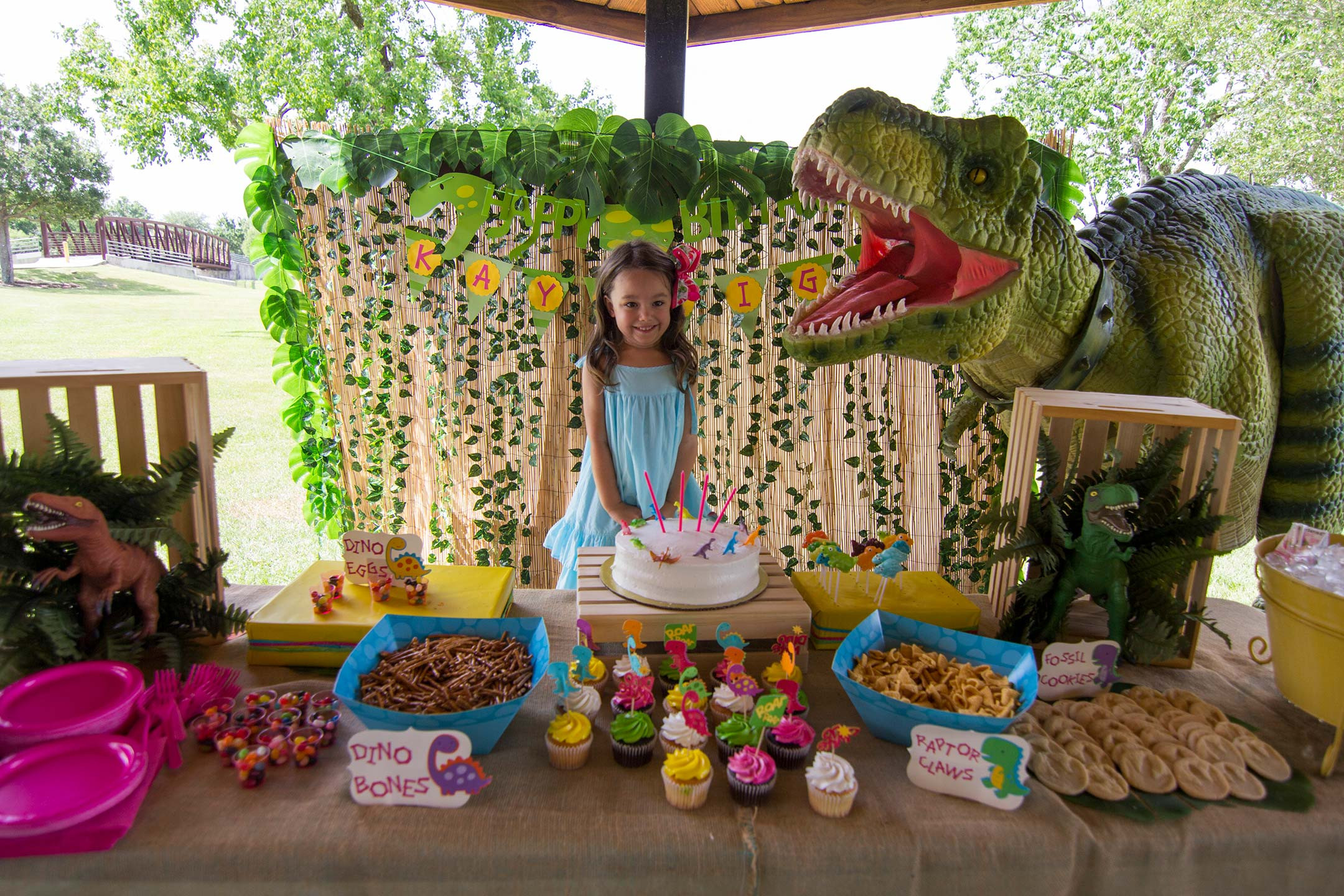 Dinosaur Themed Birthday Party
 Tag Archive for "Dinosaur Birthday Party"