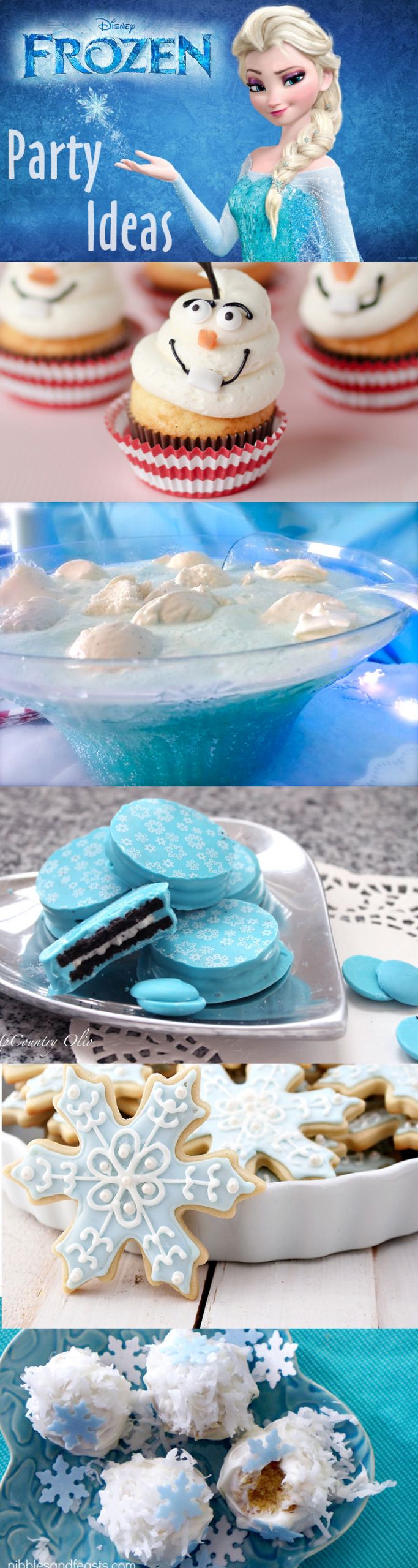 Disney Frozen Birthday Party Ideas
 Throw a Disney Frozen Themed Party