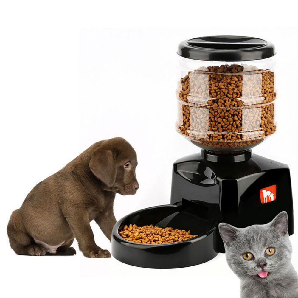 DIY 5 Gallon Dog Water Dispenser
 Homemade Dog Food Dispenser DISPENSER