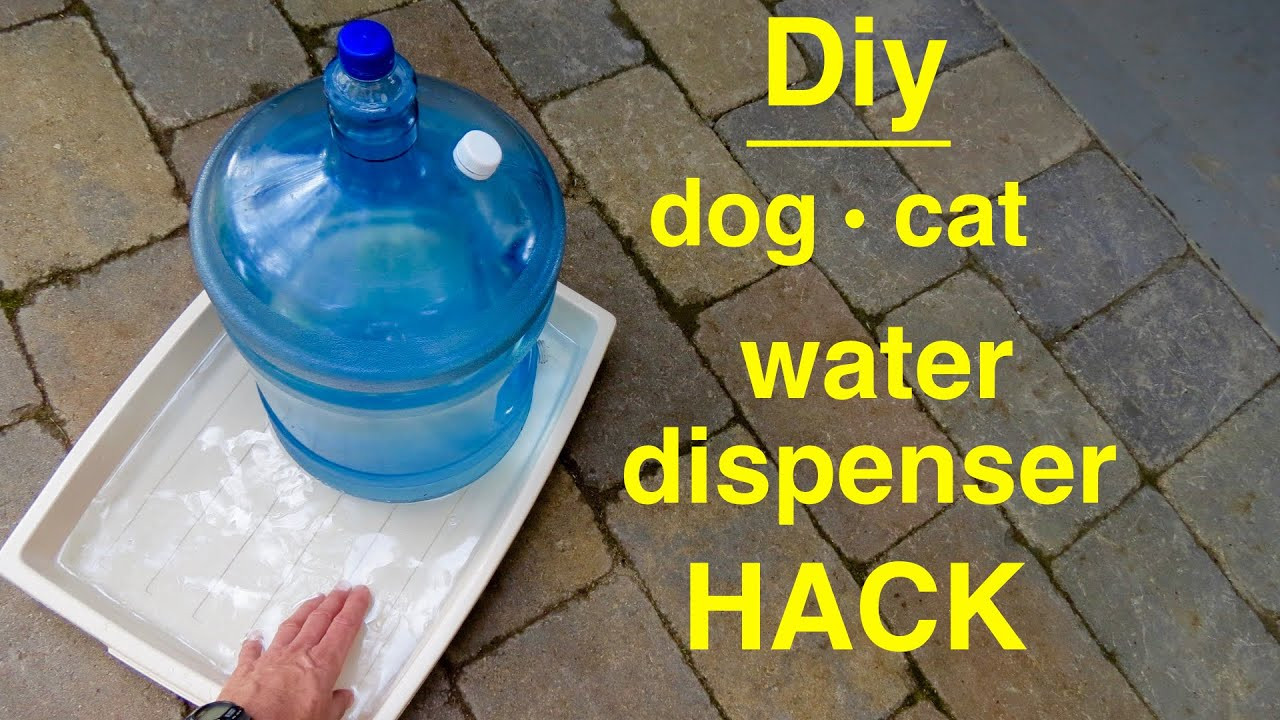 DIY 5 Gallon Dog Water Dispenser
 How to make DOG CAT Self filling Water Dispenser