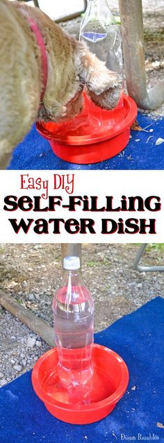 DIY 5 Gallon Dog Water Dispenser
 Build your own 5 gallon dog auto feeder It does work