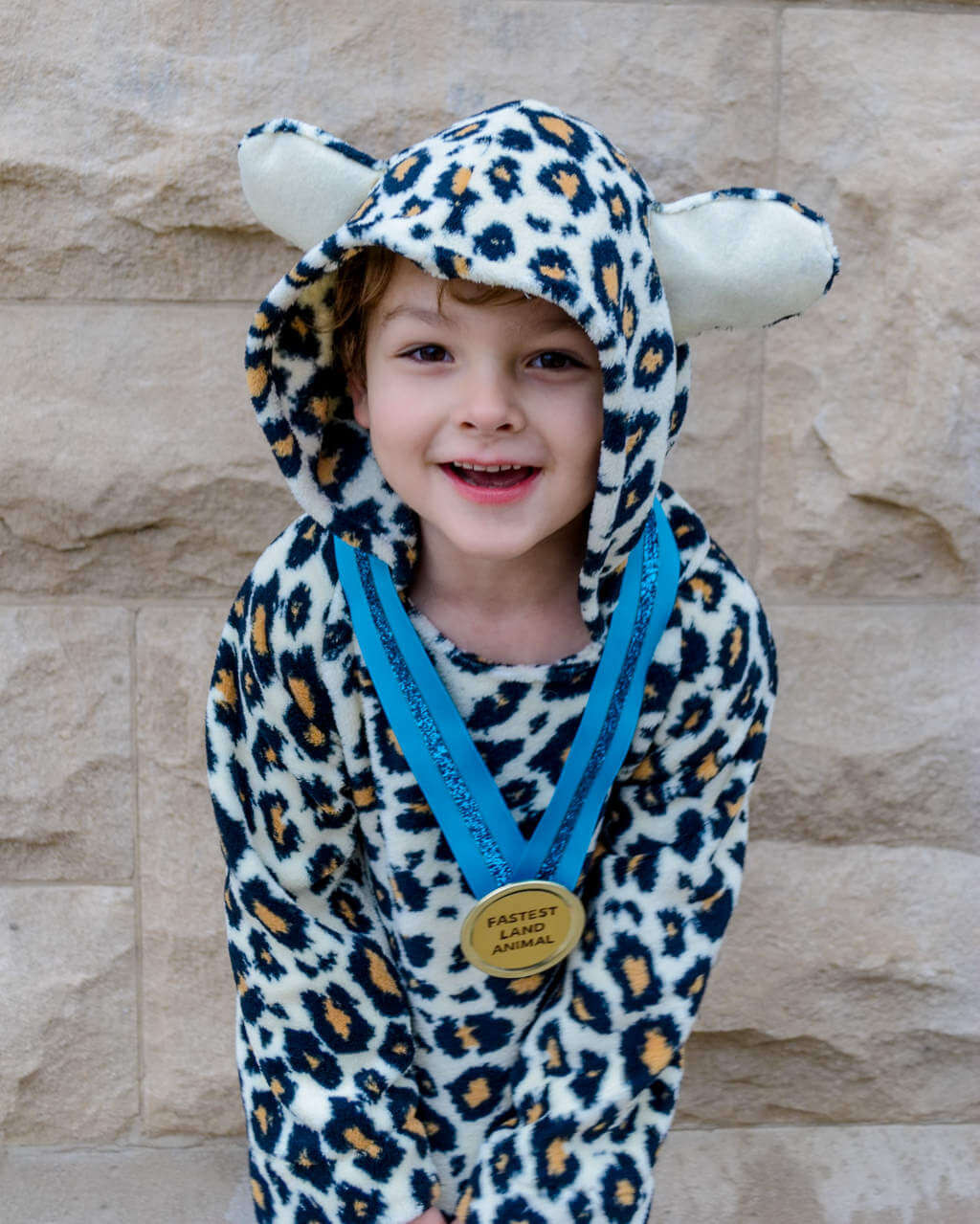 DIY Animal Costumes For Kids
 DIY Kids Cheetah Halloween Costume for Boys Merriment Design