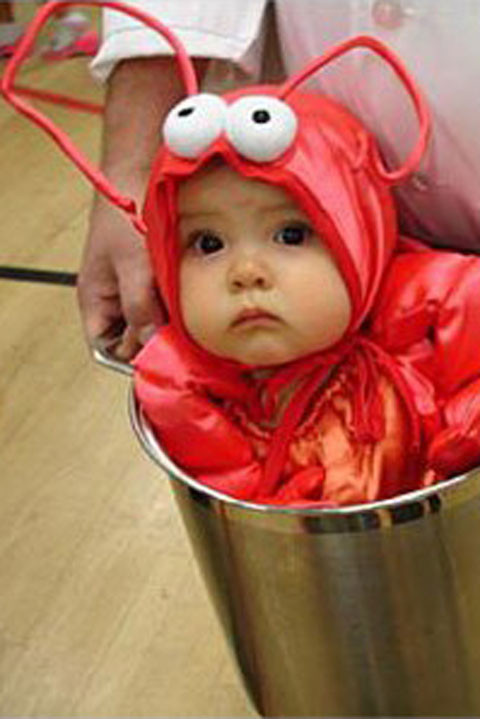 Diy Baby Costume Ideas
 Cute DIY Baby Halloween Costume Ideas Best Homemade