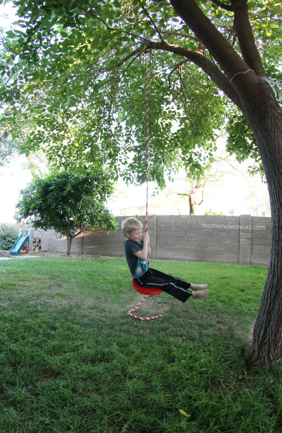 Diy Backyard Swings
 Simple DIY Tree Swing