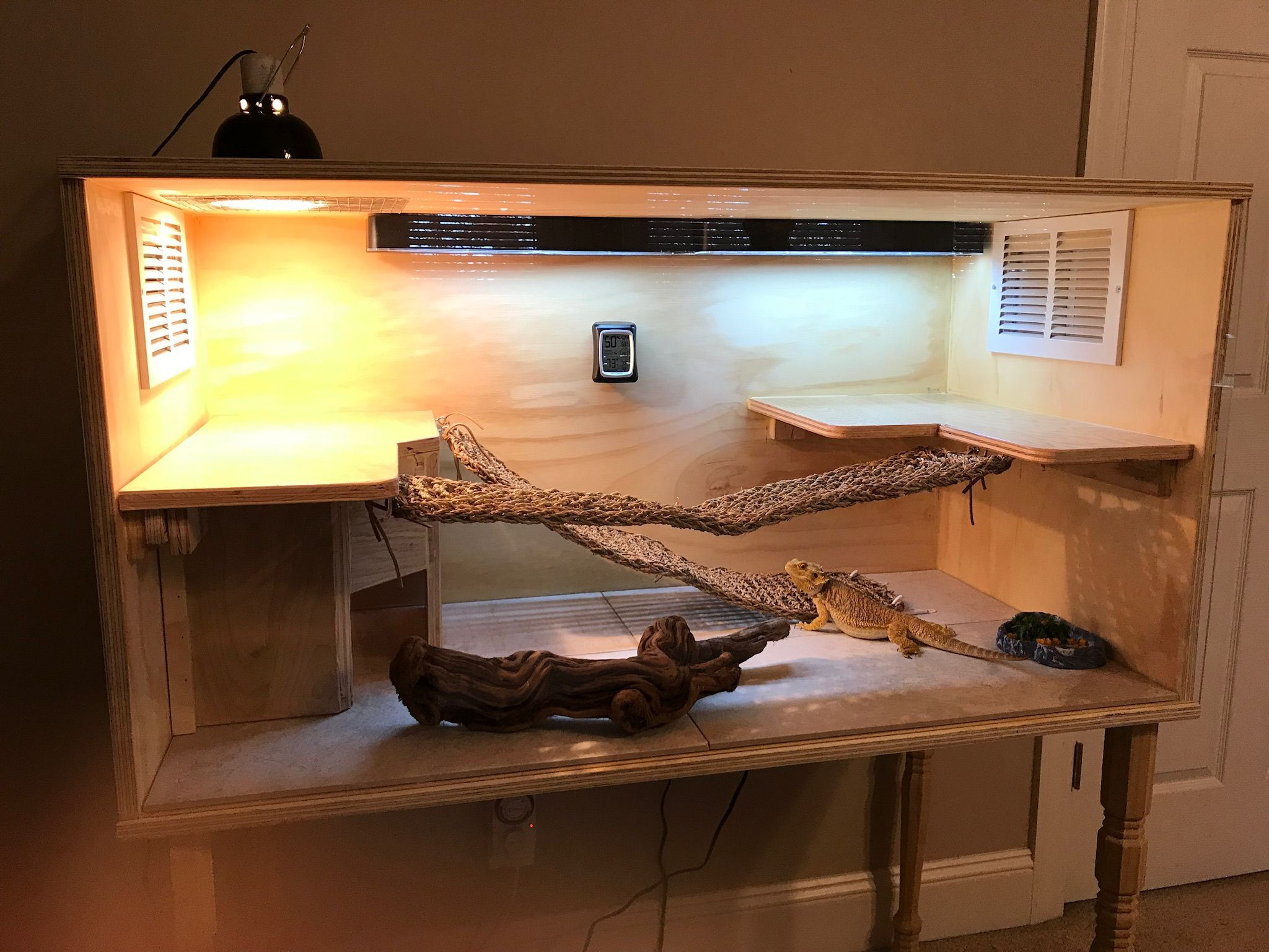 DIY Bearded Dragon Decor
 DIY Bearded Dragon Enclosure Stuff Pinterest Best