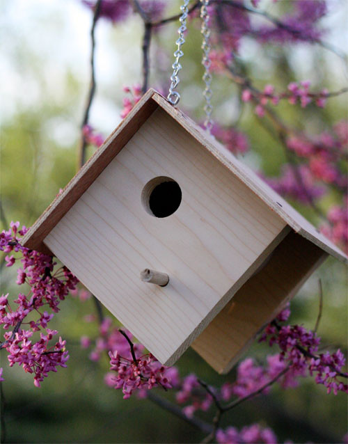 DIY Birdhouse For Kids
 DIY Birdhouses A Home For Nerdy Birds