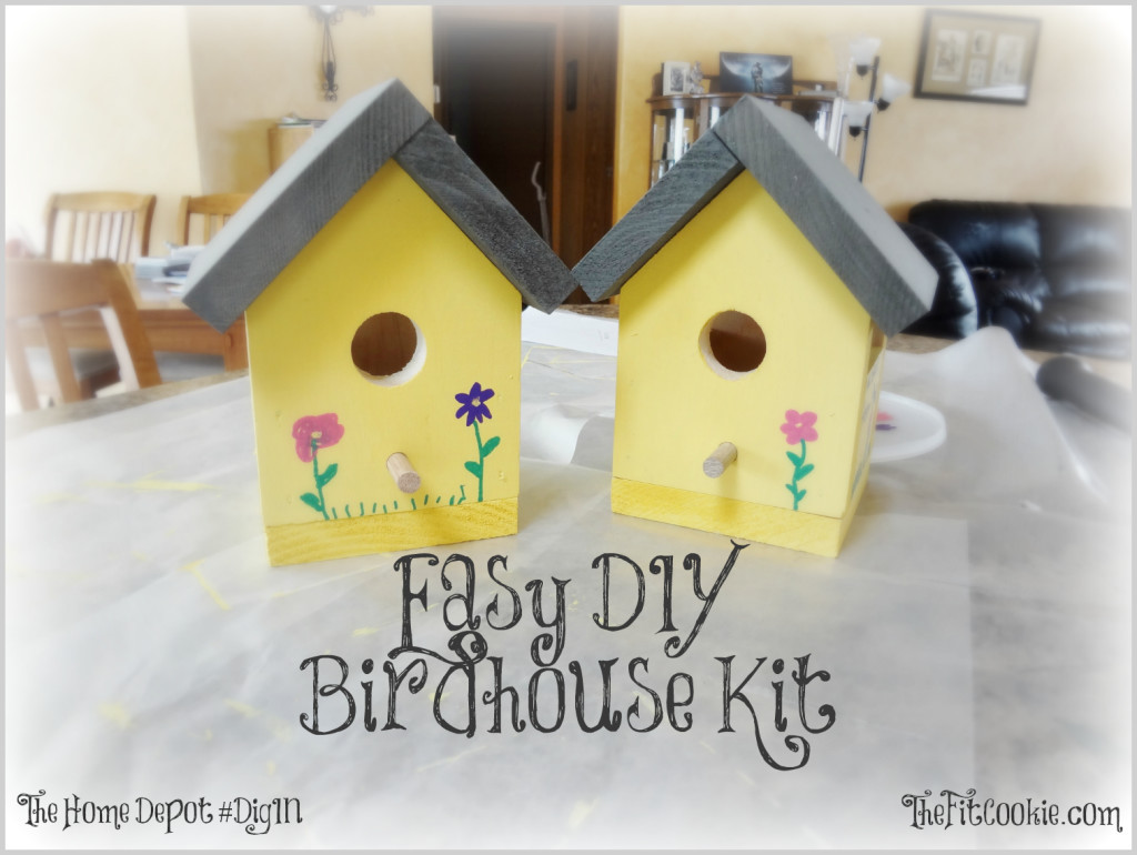 DIY Birdhouse For Kids
 Easy DIY Birdhouse Kit Project • The Fit Cookie
