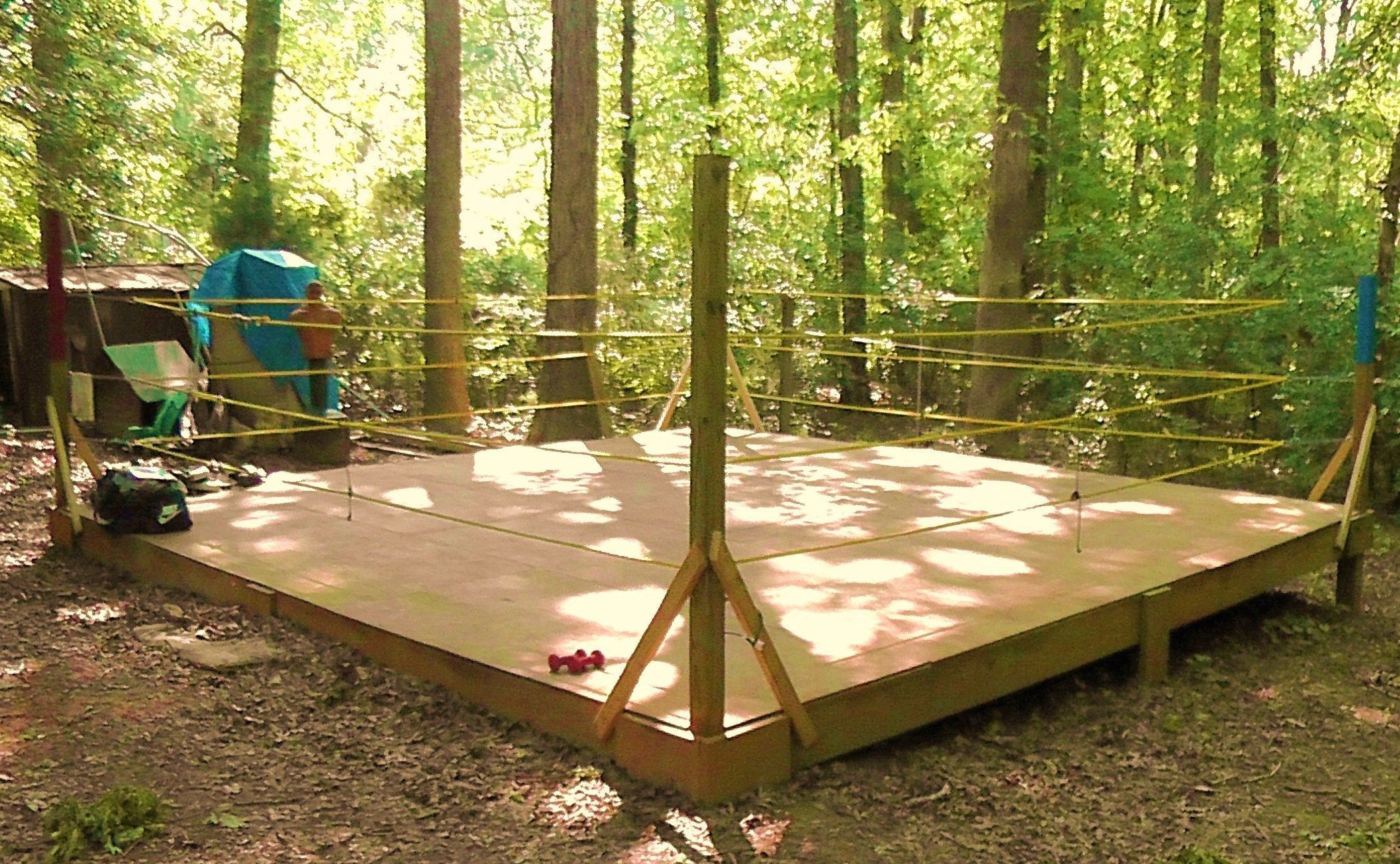 DIY Boxing Ring
 Boxing Ring