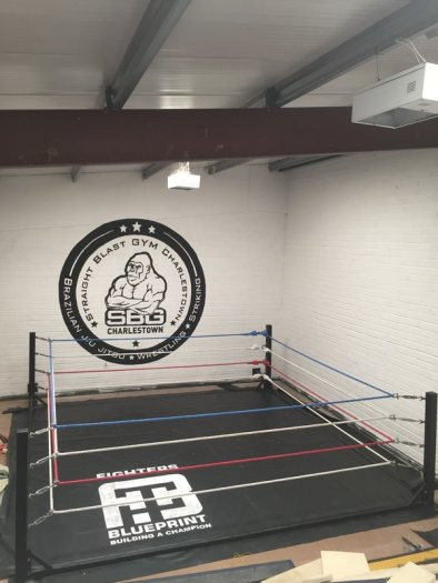 DIY Boxing Ring
 Boxing Rings For Sale in Blanchardstown Dublin from cheap