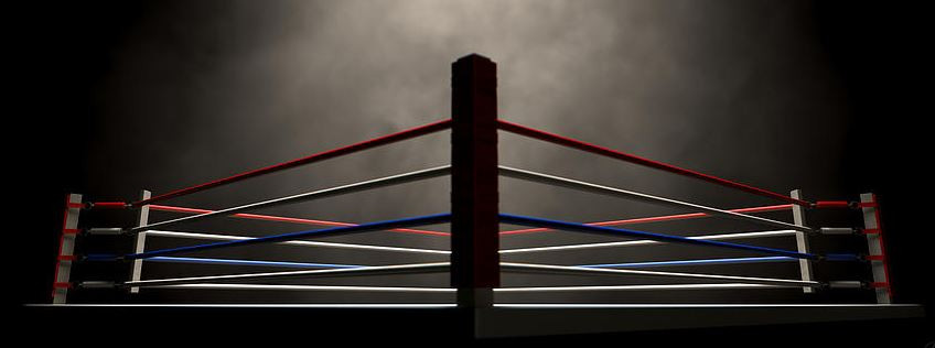 The Best Ideas for Diy Boxing Ring - Home, Family, Style and Art Ideas