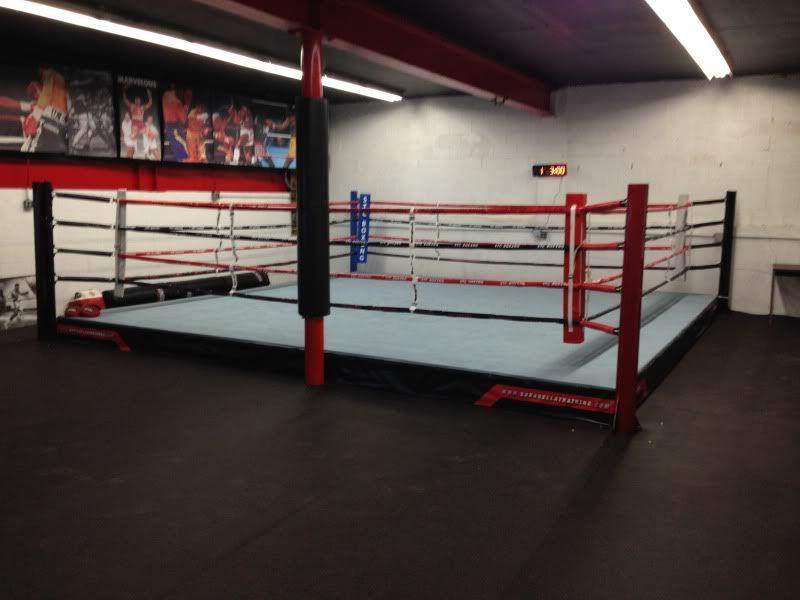 DIY Boxing Ring
 How to DIY Boxing ring Floor Sherdog Forums