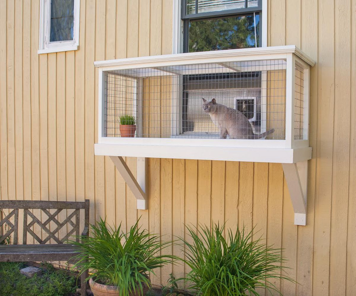 DIY Cat Window Box
 How a Seattle designer builds safe outdoor spaces for