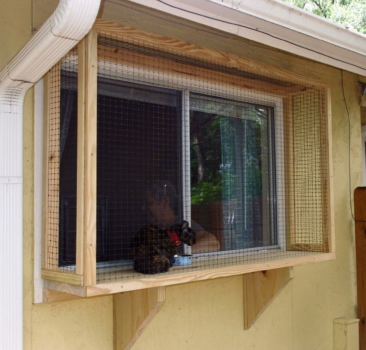 DIY Cat Window Box
 103 best Catio images on Pinterest