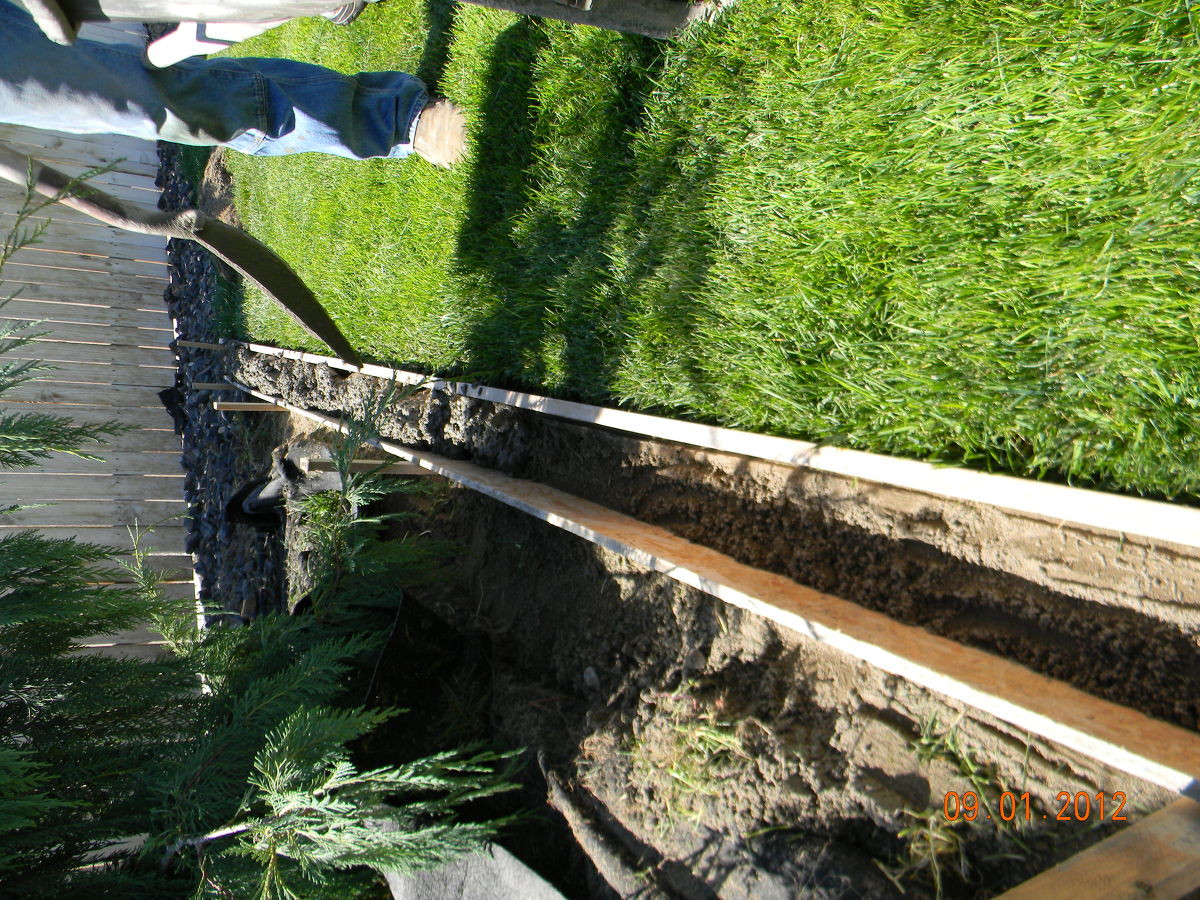 Diy Concrete Landscape Edging
 Hometalk