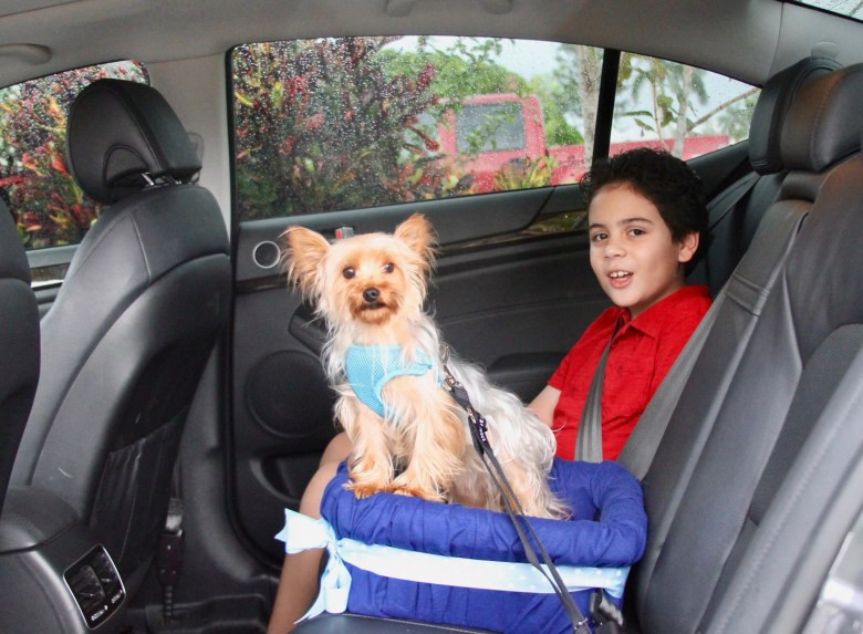 DIY Dog Booster Seat
 No Sew DIY Car Booster Seat For Your Dog