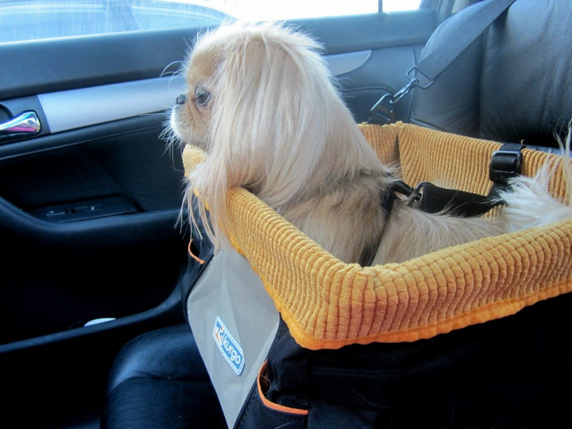 DIY Dog Booster Seat
 DIY Dog Car Seat Step by Step Instructions Expert s Advice