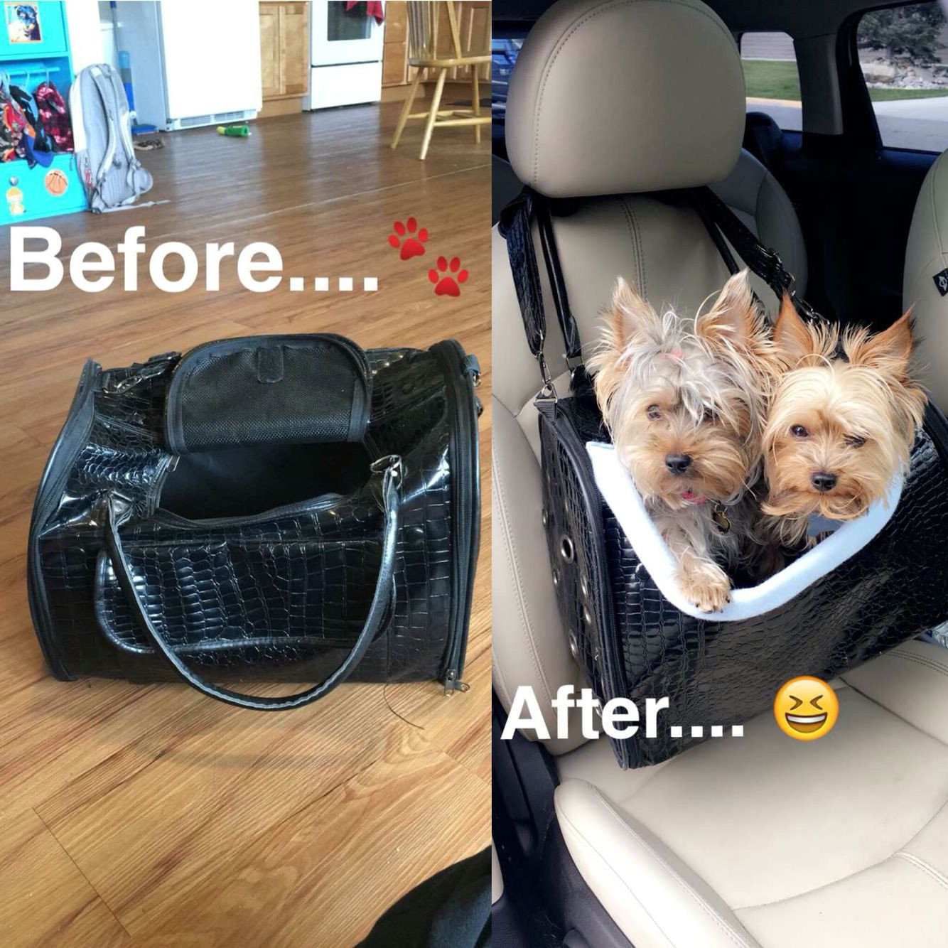 DIY Dog Booster Seat
 DIY dog car seat made from an old suitcase I got at